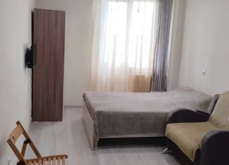 Сдаю в аренду квартиру студию, 23 м2, Мурино, бульвар Менделеева, 3