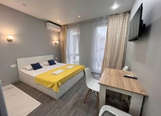 Сдача в аренду 1-ком. квартиры, 24 м2, Краснодарский край, улица Ленина, 298В/7