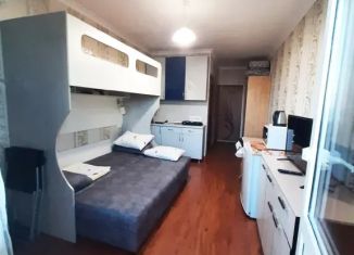 Сдаю в аренду квартиру студию, 25 м2, Сочи, улица Просвещения, 87