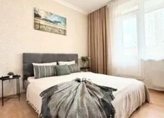 Сдача в аренду 1-ком. квартиры, 30 м2, Ростовская область, улица Ерёменко, 101