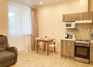 Сдача в аренду квартиры студии, 30 м2, Санкт-Петербург, Гагаринская улица, 77к1