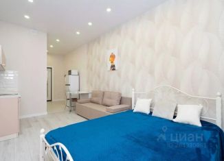 Сдача в аренду 1-ком. квартиры, 30 м2, Казань, улица Бехтерева, 9А