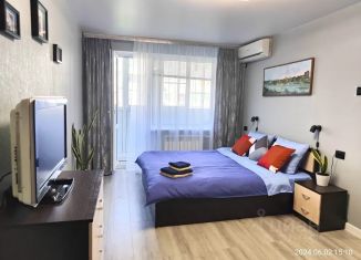 1-ком. квартира в аренду, 30 м2, Ростовская область, улица Ерёменко, 58/3