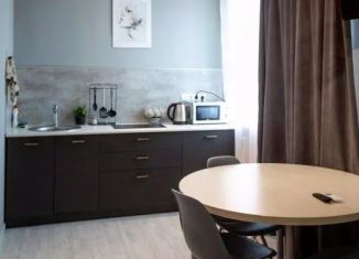 1-комнатная квартира в аренду, 26 м2, Таганрог, Карантинная улица, 50