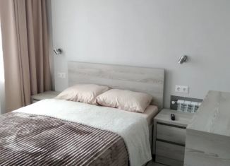 Сдача в аренду трехкомнатной квартиры, 55 м2, Сочи, улица Карла Либкнехта, 13, микрорайон Центральный