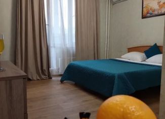 Сдача в аренду 1-комнатной квартиры, 28 м2, Ростовская область, улица Ерёменко, 96/1