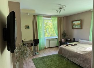 Сдача в аренду квартиры студии, 32 м2, Ленинградская область, проспект Ленина, 30
