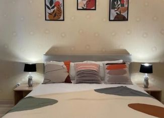 1-ком. квартира в аренду, 50 м2, Ленинградская область, улица Ушакова, 4