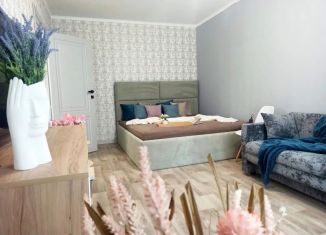 Аренда 1-комнатной квартиры, 20 м2, Казань, улица Гаврилова, 52