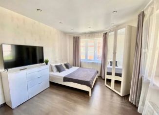 Сдам в аренду 1-комнатную квартиру, 78 м2, Котельники, улица Строителей, 3
