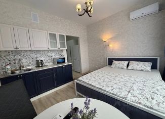 Сдаю квартиру студию, 19 м2, Адыгея, улица К.А. Васильева, 1