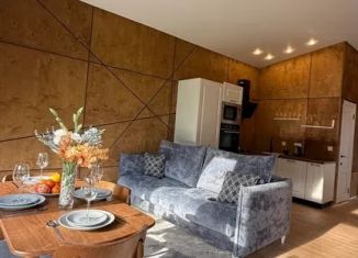 Сдаю дом, 64 м2, село Артыбаш, Юртокская улица, 24