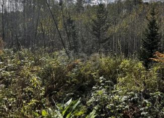 Продажа земельного участка, 10 сот., Республика Алтай, Пихтовая улица, 23