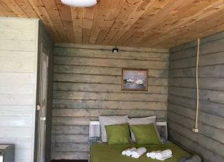 Сдаю дом, 25 м2, Республика Алтай, СНТ Катунь, 24