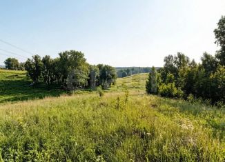 Продается земельный участок, 32 сот., СПК Солонцы