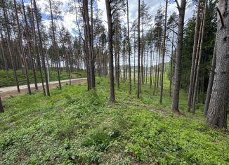 Продаю участок, 20.5 сот., Ленинградская область, Центральная улица