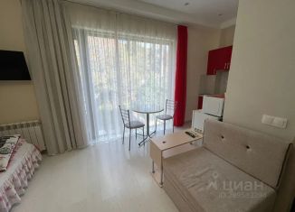 Аренда квартиры студии, 21 м2, Крым, улица Мира, 10Д
