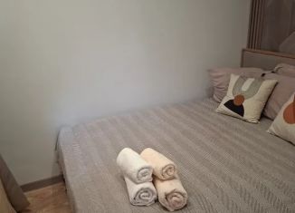 Сдается в аренду дом, 28 м2, Ставропольский край, улица Крайнего, 11