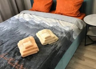 Однокомнатная квартира в аренду, 48 м2, Брянск, проспект Станке Димитрова, 69