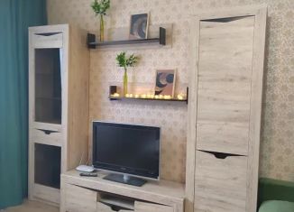 Сдается в аренду однокомнатная квартира, 40 м2, Брянск, проспект Станке Димитрова, 67к6
