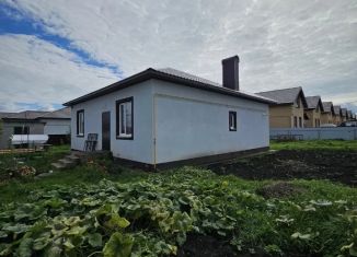 Продам дом, 90.7 м2, деревня Старые Киешки, Берёзовая улица, 20/1