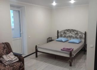 Сдается 1-комнатная квартира, 41 м2, Брянская область, улица Андрея Галицина, 4