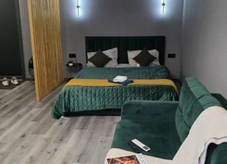 Сдам в аренду квартиру студию, 33.6 м2, Курская область, улица Ленина, 31