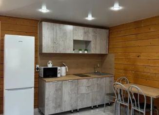Сдача в аренду дома, 35 м2, Республика Алтай, Крестовая улица, 16