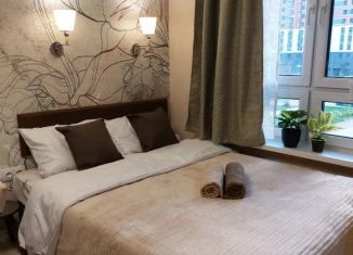 Сдается в аренду квартира студия, 20 м2, Московская область, Южный бульвар, 4