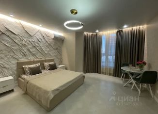 Сдам квартиру студию, 30 м2, Адыгея, улица К.А. Васильева, 1к6