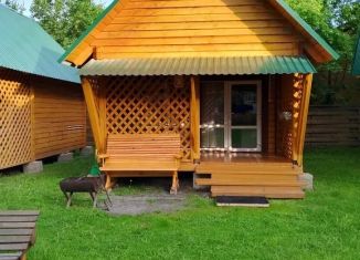 Дом в аренду, 20 м2, Республика Алтай, Чемальская улица, 34
