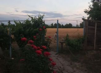 Продается дом, 40 м2, хутор Ханьков, улица Крутой Поворот