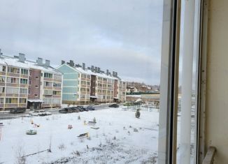 Продам квартиру студию, 26 м2, посёлок Западный, Просторная улица, 48