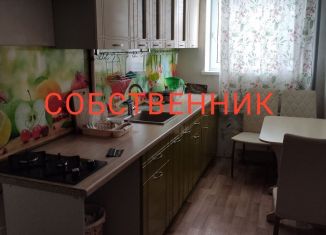 Аренда 2-комнатной квартиры, 43 м2, Екатеринбург, улица Громова, 132, улица Громова
