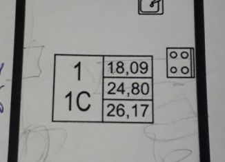 Продам квартиру студию, 26 м2, Мурино, Графская улица, 8, ЖК Гринландия-2