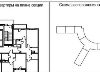 Продаю 2-комнатную квартиру, 75 м2, Санкт-Петербург, улица Типанова, 23с1, ЖК Питер