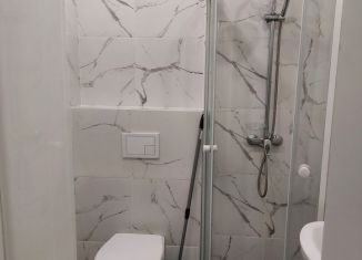 Сдается в аренду квартира студия, 19.6 м2, Мурино, Ручьёвский проспект, 2, ЖК Авиатор