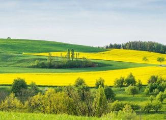 Продажа земельного участка, 690 сот., село Межводное, Центральная площадь