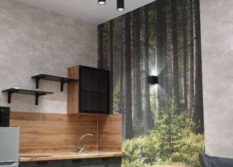 Дом в аренду, 26 м2, Сочи, Школьная улица, 11, микрорайон Весёлое