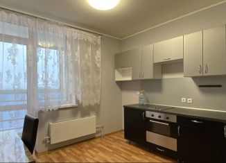 1-комнатная квартира в аренду, 42 м2, Екатеринбург, улица Бакинских Комиссаров, 97, улица Бакинских Комиссаров