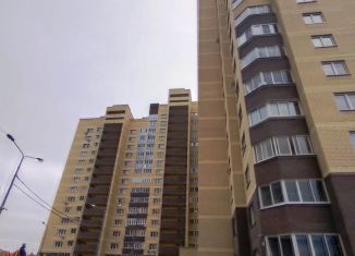 Квартира на продажу студия, 26 м2, Ногинск, улица Дмитрия Михайлова, 12