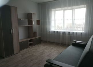 Сдается 1-комнатная квартира, 40 м2, Павловск, улица Свободы