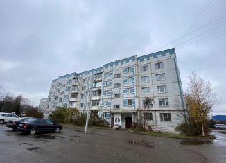 Продажа 1-комнатной квартиры, 40 м2, Хотьково, 1-я Хотьковская улица, 26В