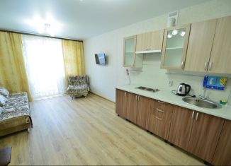Квартира в аренду студия, 27 м2, Хабаровск, улица Фурманова, 2