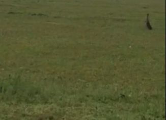 Участок на продажу, 8 сот., СНТ Нептун