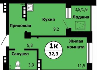 Продам 1-комнатную квартиру, 32.3 м2, Красноярск, Октябрьский район, Лесопарковая улица, 43