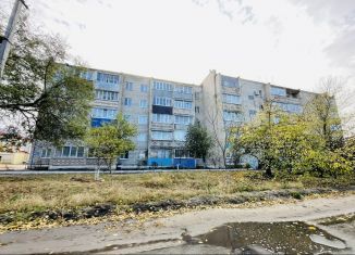 Продам 3-комнатную квартиру, 58 м2, Павловск, Набережная улица, 2Б