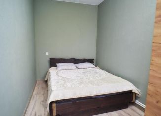 2-ком. квартира в аренду, 60 м2, Ставропольский край, Широкая улица, 25