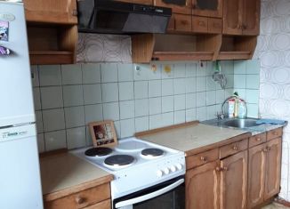 Сдача в аренду 2-ком. квартиры, 60 м2, Москва, Салтыковская улица, 11к1, ВАО