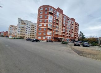 Продаю 1-ком. квартиру, 41.4 м2, Горячий Ключ, Рябиновая улица, 2Вк1